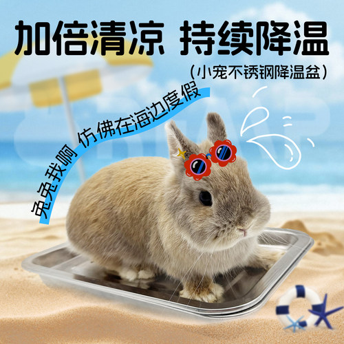 宠物降温板兔子冰盒仓鼠散热板