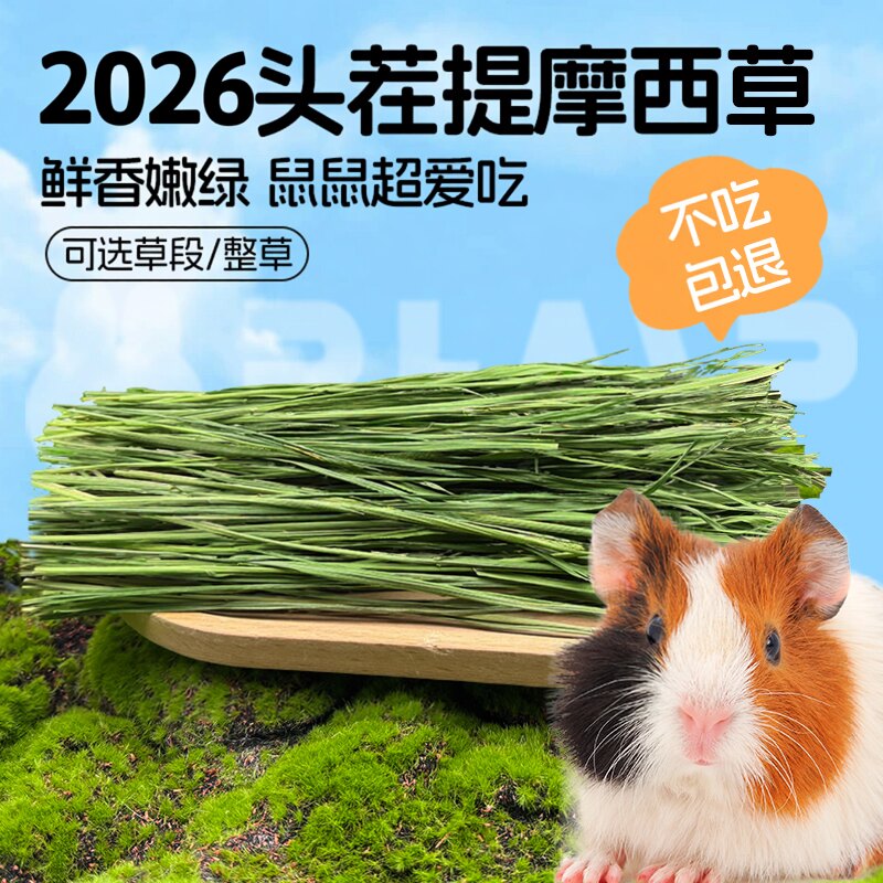 26年提摩西草烘干头茬兔子草提摩西草料干草兔子豚鼠主粮牧草主食
