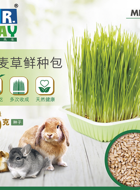 包邮 MR. Hay 草先生小麦草鲜种包 兔子鲜草新鲜 DIY小麦草50g