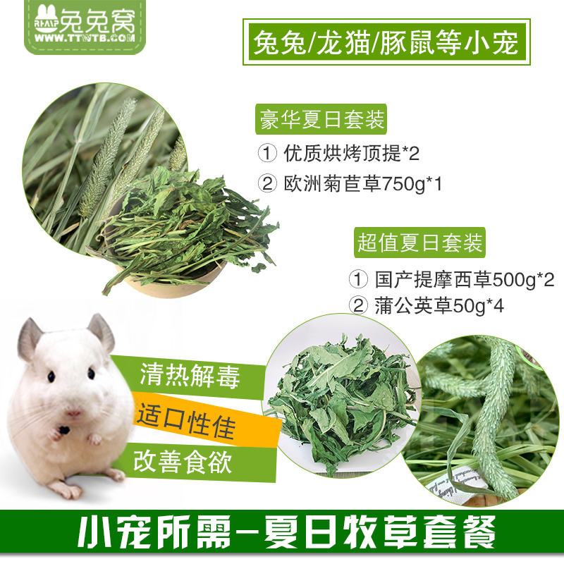 兔兔优质提摩西草菊苣草蒲公英草