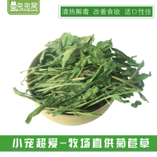 提高食欲改善消化 欧洲菊苣牧草750g 兔子荷兰猪龙猫 包邮 25年新