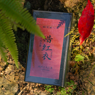 韶灵素心【惜红衣】2024花果香型坦洋工夫红茶 白芽奇兰料 120g