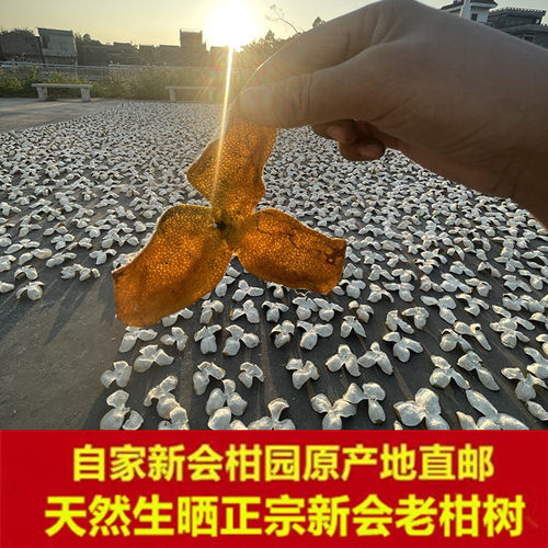 新会柑园原产地直邮纯生晒