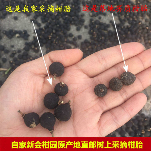 天然生晒正宗新会采摘陈皮小青柑仔柑胎果茶柑胎仔柑普茶非落地果