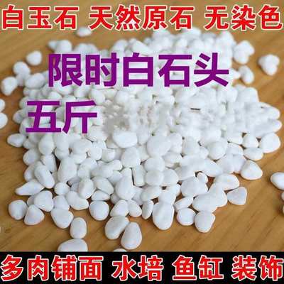 小白石子白玉石雨花石鹅卵石园艺盆栽石头多肉铺面石鱼缸造景铺院