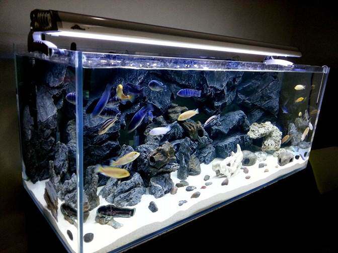 定制金晶超白鱼缸中型小型海水缸长方形草缸造景家用客厅金鱼裸缸