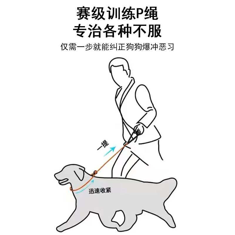 宠物p链p字绳训犬用品狗狗牵引绳遛狗绳子小狗链子小型犬中型大型