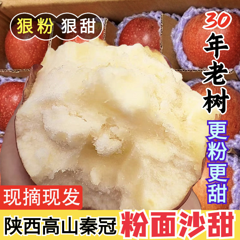 【早摘午发】粉面香甜高山秦冠苹果陕西当季水果新鲜宝宝辅食刮泥,水产肉类/新鲜蔬果/熟食,苹果,淘宝优惠券,粉丝福利购,淘宝优惠卷