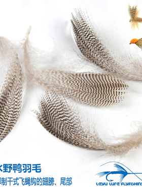 10片装野鸭浮水羽毛 飞钓干式钩翅膀绑材  Mallard Flank绑制羽毛