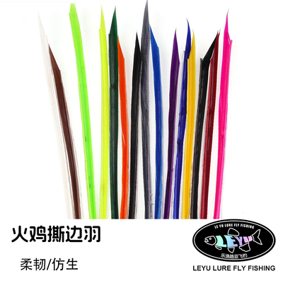 Wifreo若虫翅膀干蝇躯体蚱蜢翅膀