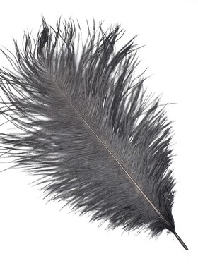 Wifreo 长鸵鸟毛 多用途飞蝇基础羽毛 Ostrich Feather 毛钩羽毛