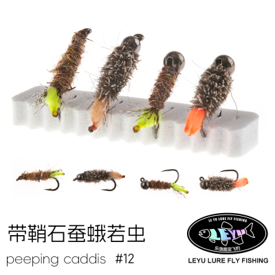 带鞘石蚕蛾若虫PeepingCddos
