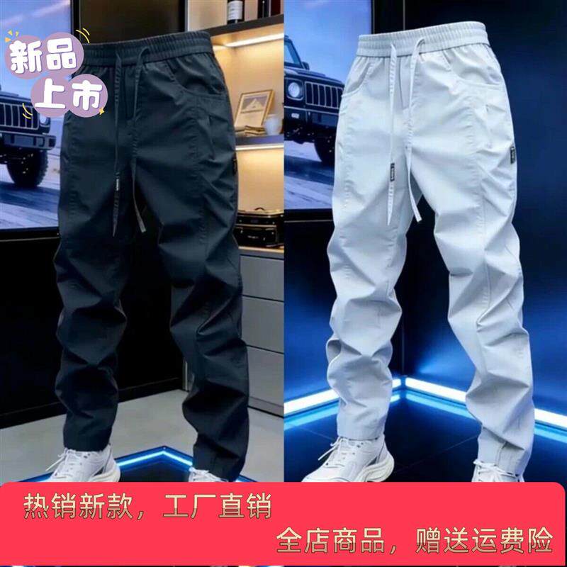 师凯服饰运动冲锋裤26男士时尚户外潮流舒适宽松弹力显瘦休闲