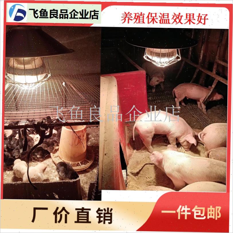 养殖取暖灯鸡鸭家畜宠物育雏t保暖灯带304开关插头100W275W保温,