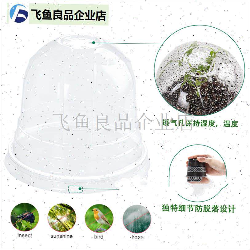 高透明育苗杯闷养杯带盖花盆保温C保E湿闷养盒多肉兰花蝴蝶兰花,