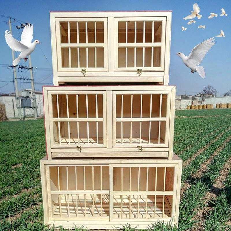 鸽具鸽子配对笼信鸽配对笼巢箱赛鸽巢箱养殖笼木质鸽子笼鸽子用品