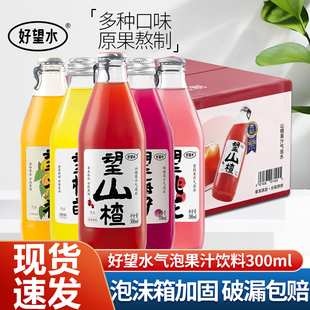 好望水气泡水饮料300ml*24瓶望山楂碳酸果汁汽水柠萌梅好桃花杏福