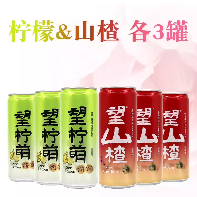好望水气泡果汁饮料330ml*6罐