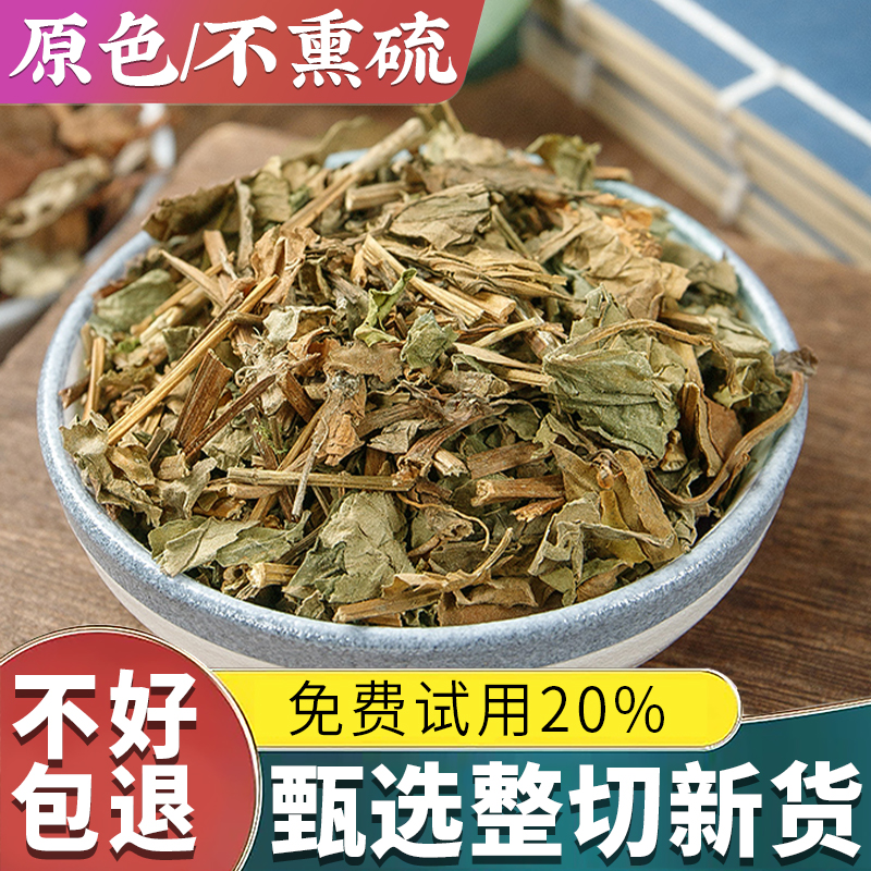 【试吃20%包退】头采新货鱼腥草