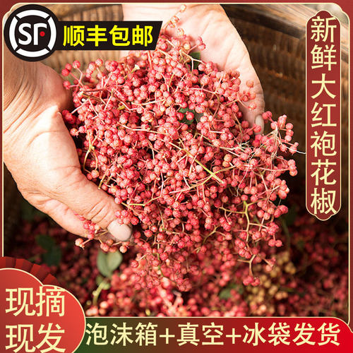 新鲜红花椒大红袍花椒嫩花椒湿花椒新鲜活花椒现摘现发特麻特香