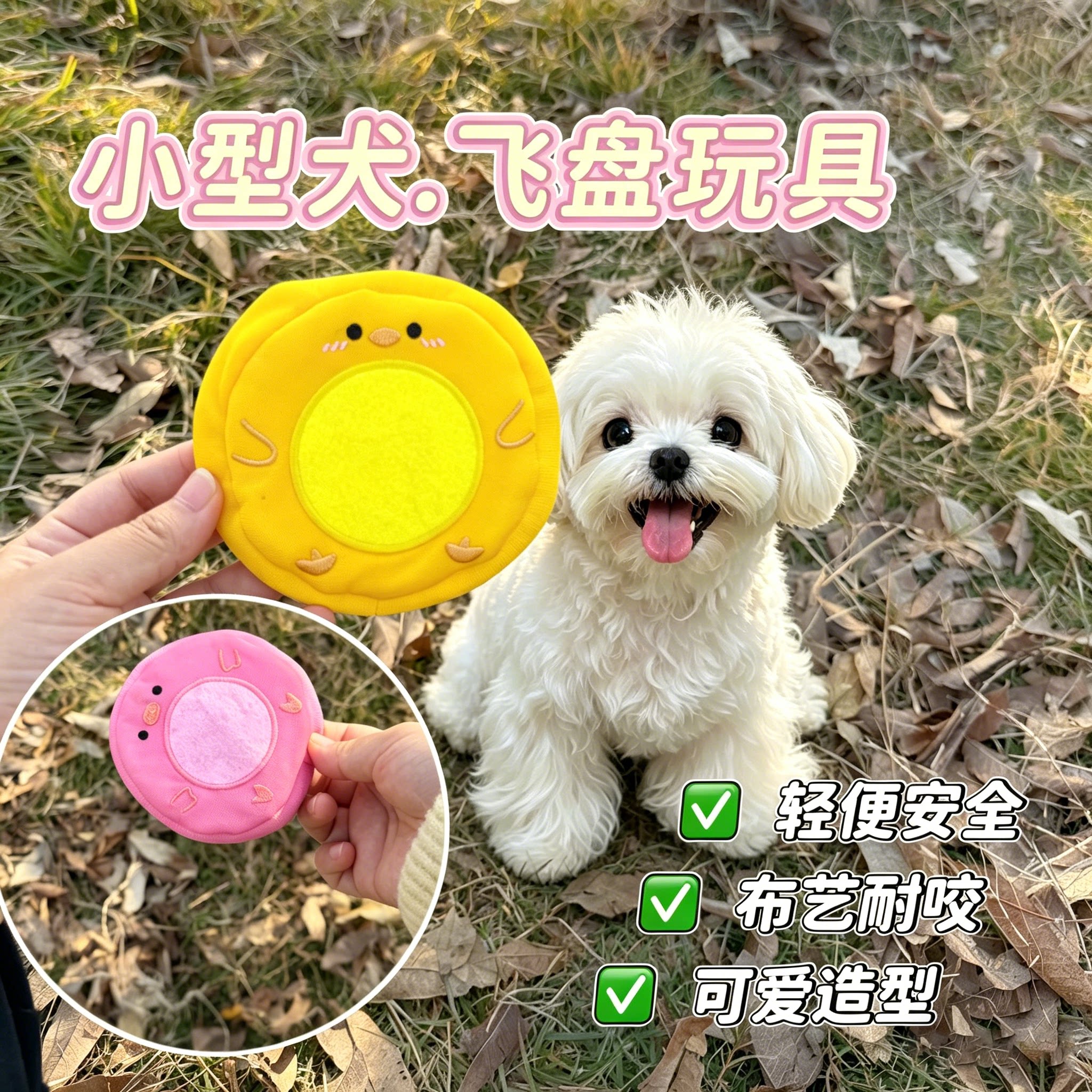 马尔济斯专用磨牙耐咬解闷小型幼犬用品小狗狗迷你飞盘玩具约克夏图片