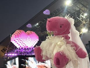 大号素龙衣服演唱会明星娃衣毛绒恐龙玩具婚纱原创手作