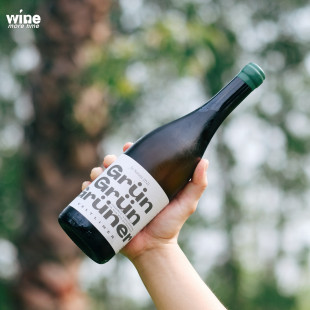 黄苹果 碾碎 奥地利Schodl绿维林干白葡萄酒自然酒 选择 Noma