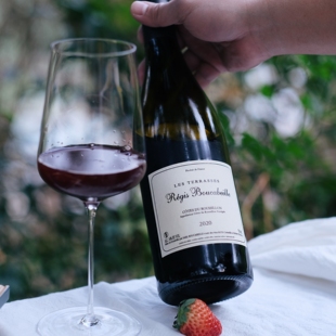 甜美跳脱樱桃果泥 法国布加尔酒庄梯田干红葡萄酒 高标准精致口粮