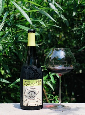 口感升级 年轻人国产葡萄酒初体验 宁夏小酒农梅洛干红葡萄酒2022