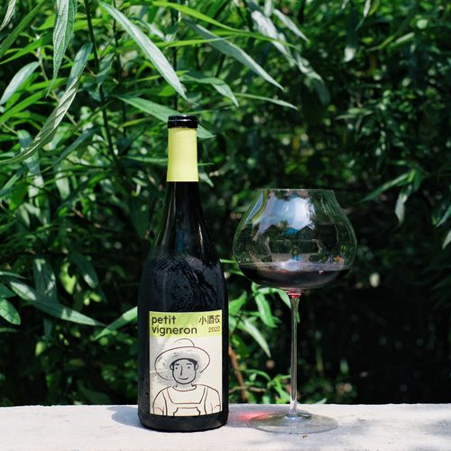 宁夏小酒农梅洛干红葡萄酒