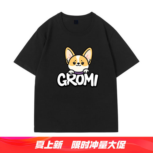 许嵩VAE安泊猜想演唱会同款衣服短袖t恤应援服物格洛米周边上衣潮