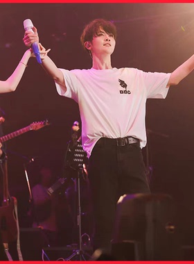 刘端端同款DDC短袖总会见面的1.0音乐会T恤端哥周边客户端应援服