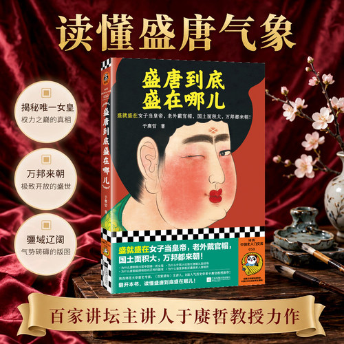 读客正版盛唐到底盛在哪儿于赓哲