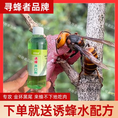 寻蜂者品牌诱蜂开口剂专业金环黑尾专用诱蜂水香精调配原料