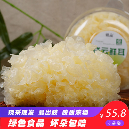银朵 新鲜银耳6朵盒装精选白木耳鲜活雪耳丑耳无硫糯耳600g
