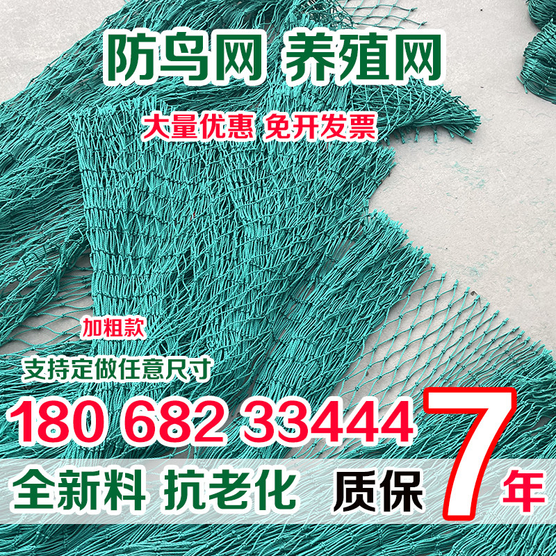 家禽养殖网养鸡网护栏网球场网