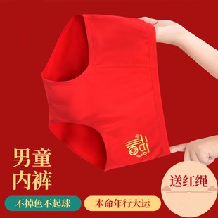 男童三角裤红色本命年属马男大童大红内裤中大童男孩底裤不夹PP棉