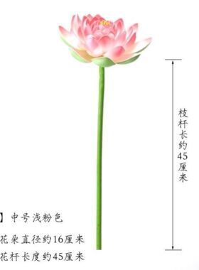 带杆真荷花假荷花真莲花舞蹈舞台造景装饰景水池景观拍摄道具