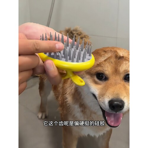 狗狗洗澡刷子撸猫咪沐浴刷搓澡神器宠物柴犬去浮毛硅胶按摩清洁刷