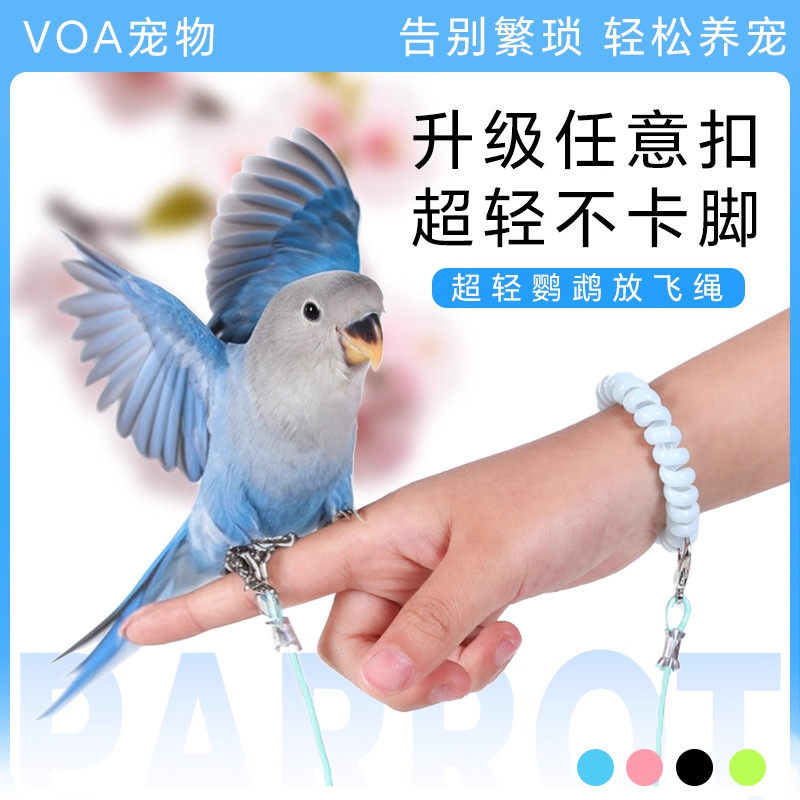 鹦鹉放飞绳超轻不伤脚牵引绳遛鸟绳小鸟脚环虎皮牡丹玄凤外出防丢
