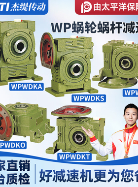 WPWDKA/WPWDKS/WPWDKV/WPWDKO/WPWDKT 蜗轮蜗杆减速机变速齿轮箱