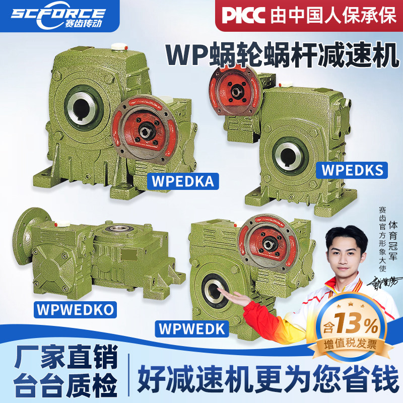 WPEDKA WPEDKS WPWEDKO WPWEDK 铁壳蜗轮蜗杆减速机齿轮变速箱
