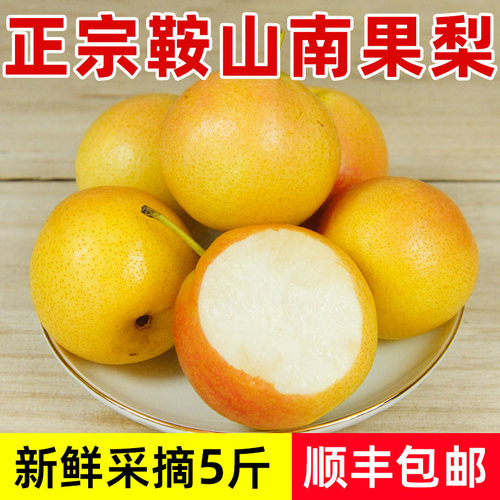 鞍山南果梨5斤包邮酒香醉人