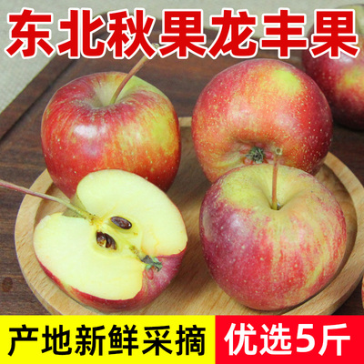 东北秋果龙丰果酸甜可口
