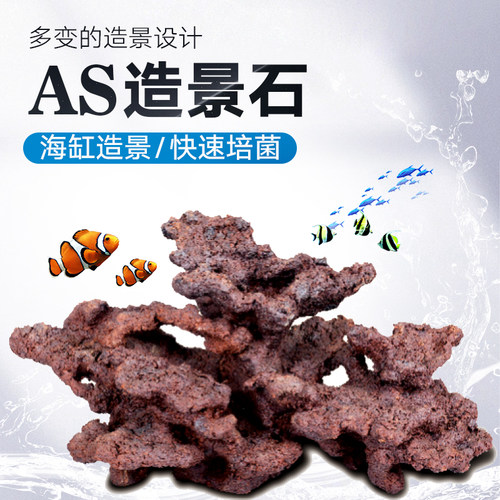 AS造景石异形造景石珊瑚