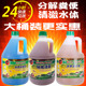 海豚硝化细菌水质澄清剂鱼缸安定剂3.8升大桶5升净水除氯养水培菌