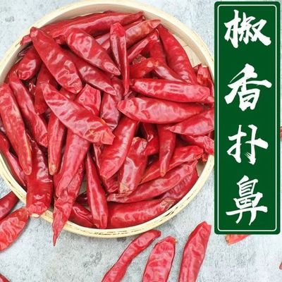 微辣特香河南新一代干辣椒500g
