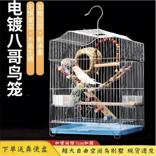 2024新款鸟笼生态别墅鹦鹉笼子