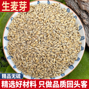 生麦芽 大麦泡茶生麦芽大麦芽发芽率高 500克另有炒麦芽稻谷芽