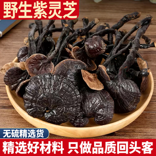 野生紫灵芝 500克 特级正品紫灵芝泡酒 紫芝林芝可切灵芝片干货